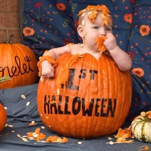 Meet your Posher, Sandy